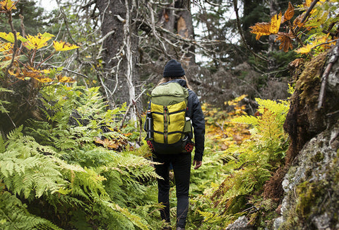 Muir Woods 30 (Farallon Black)