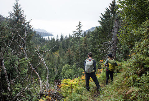 Muir Woods 30 (Truckee Green)